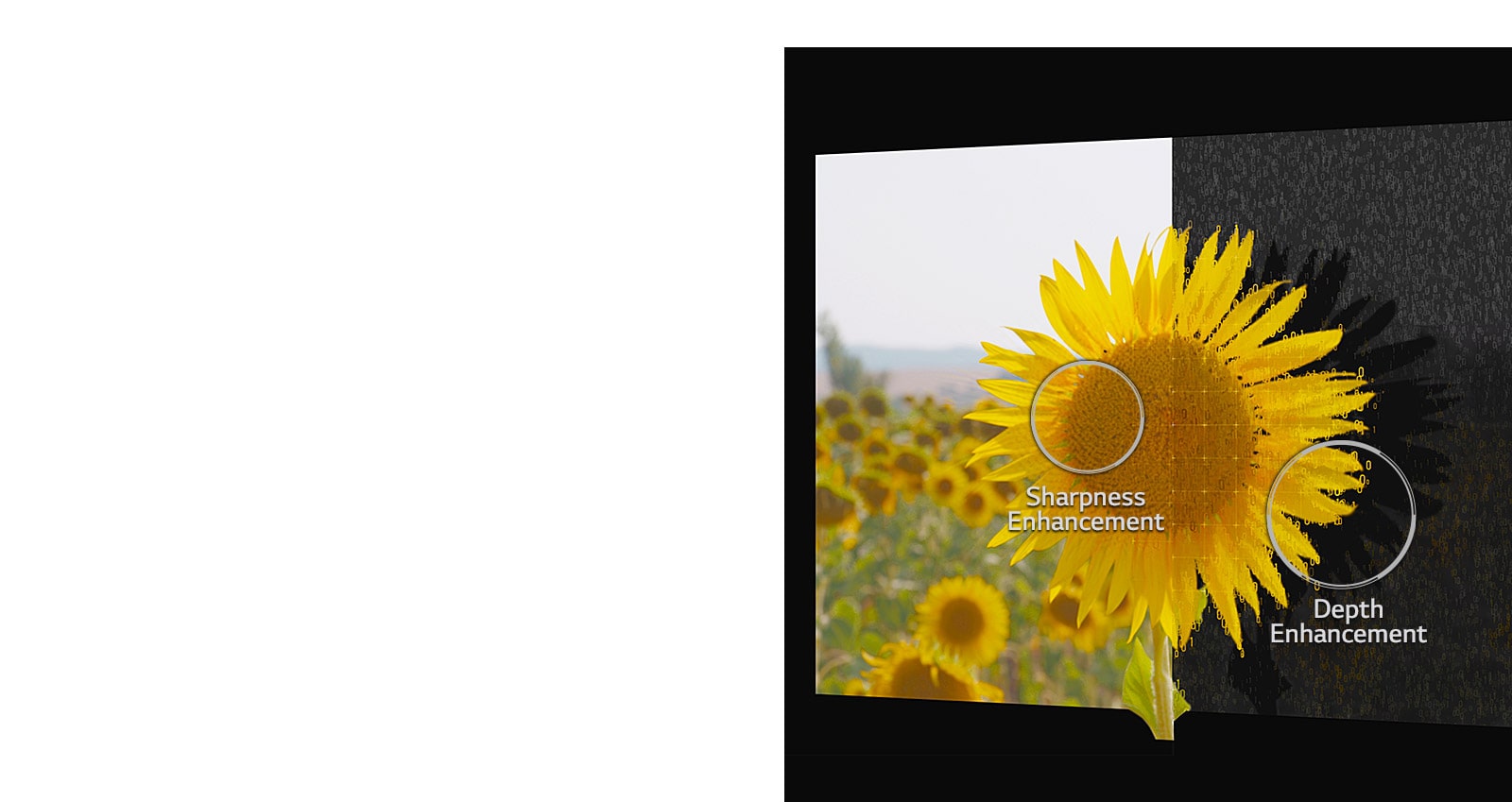 05_Alpha9_Depth_Enhancer_desktop