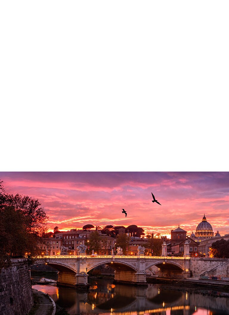 Lg Nano80 55 Inch Smart 4k Nanocell Tv Lg Levant