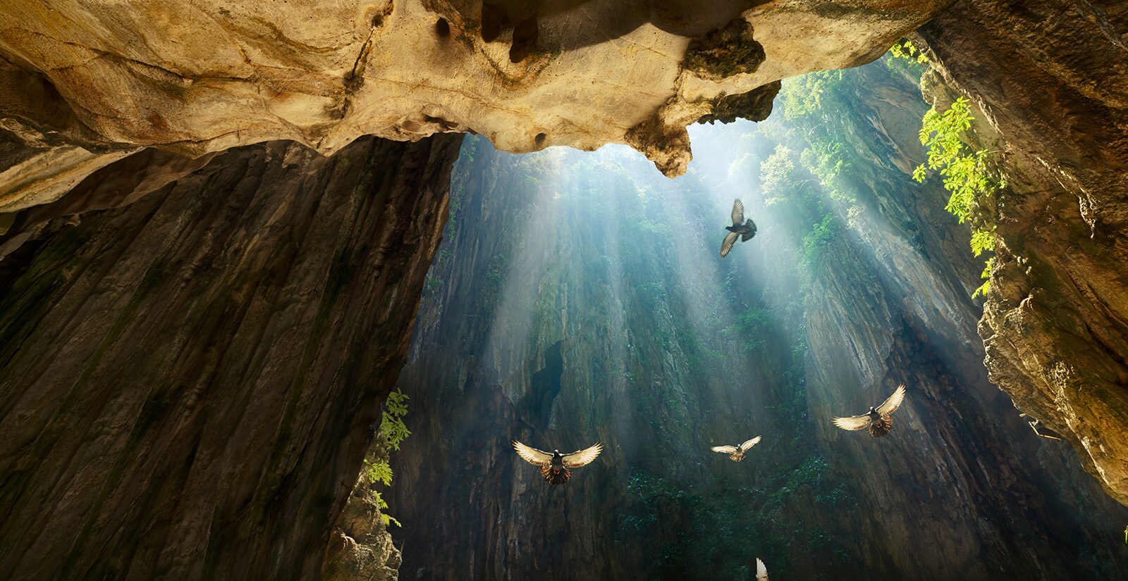 4K Cinema HDR<br>Delivers The Filmmaker's Vision1