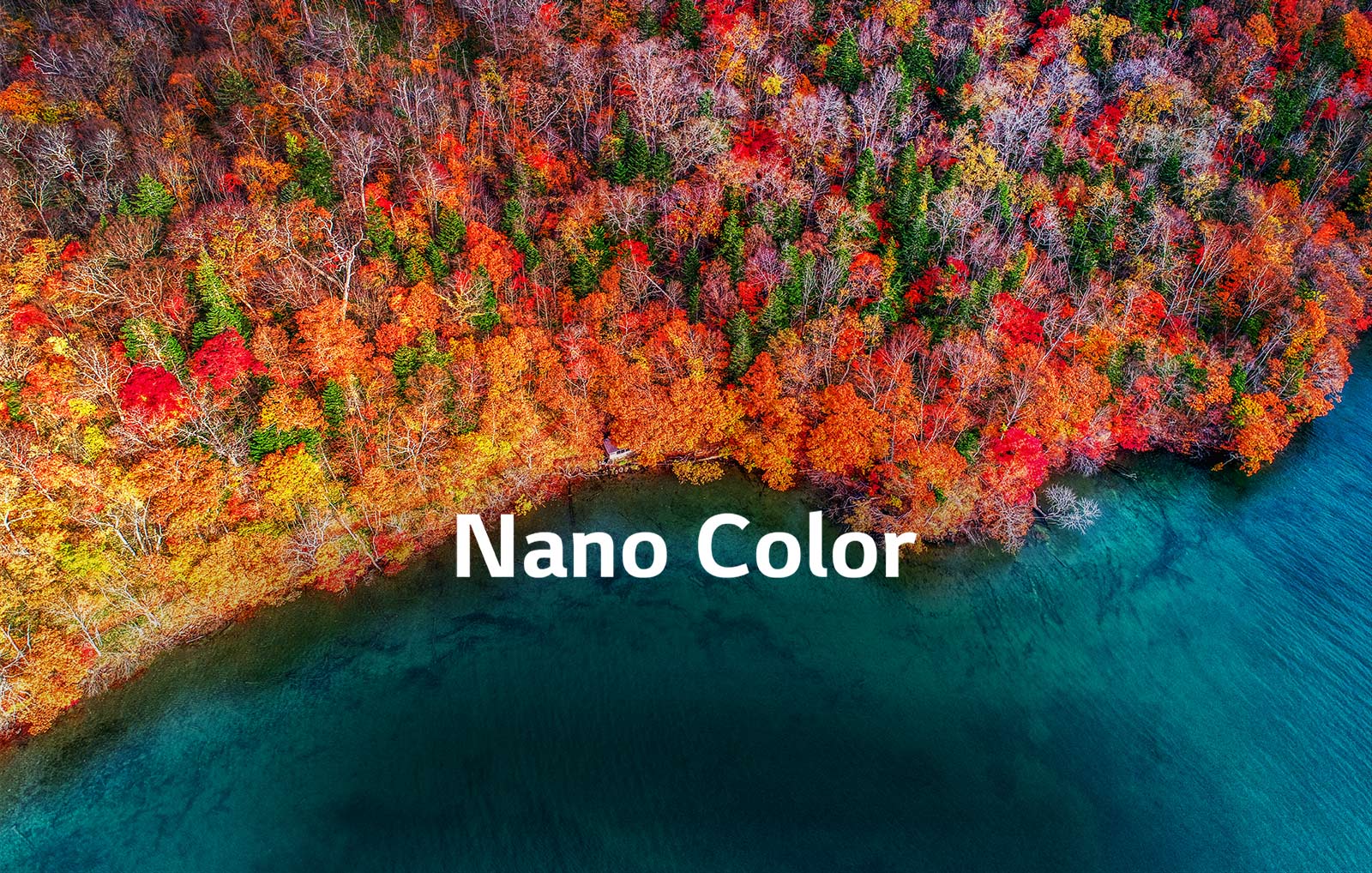 TV-NanoCell-SM81-02-Nano-Color-Desktop