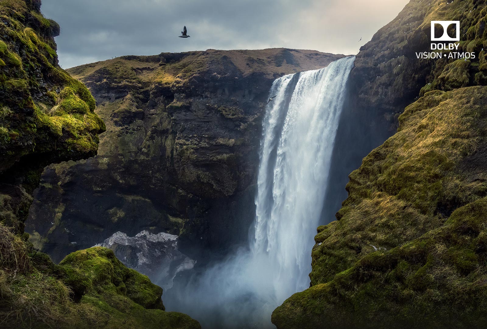 Dolby Vision & Atmos <br> Expérience cinéma à la maison1