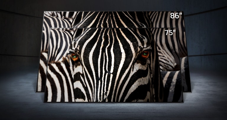 A 75-inch LG NanoCell TV stood directly in front of an 86-inch ultra-large LG NanoCell TV in a dark space. A close-up image of a zebra’s face is displayed on the screens.	