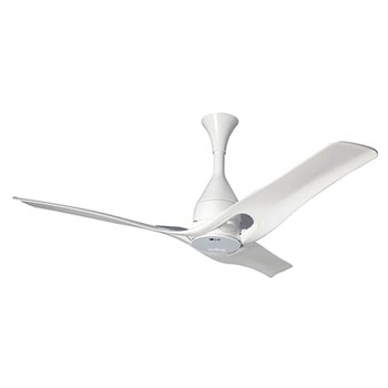 LG Experience New Premium Ceiling Fan, LCF12P1