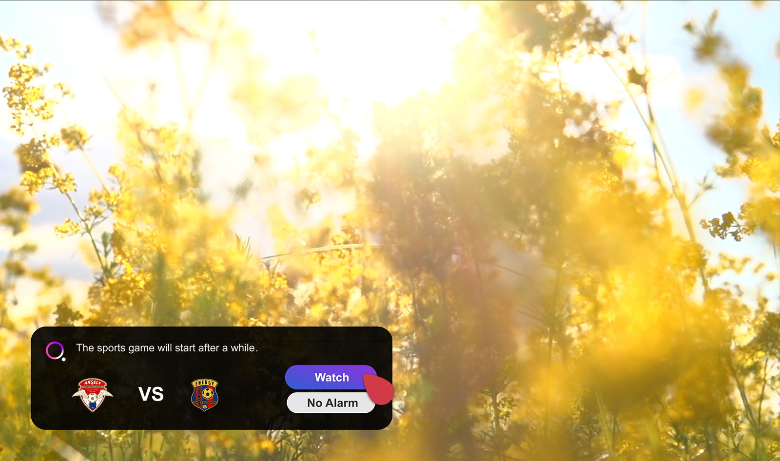 A screen shows a Meadow with blooming yellow wild flowers and there is a sports alert notification popup on left bottom corner that shows current score. A cursor clicks on Watch button and the scene changes to show soccer game. 