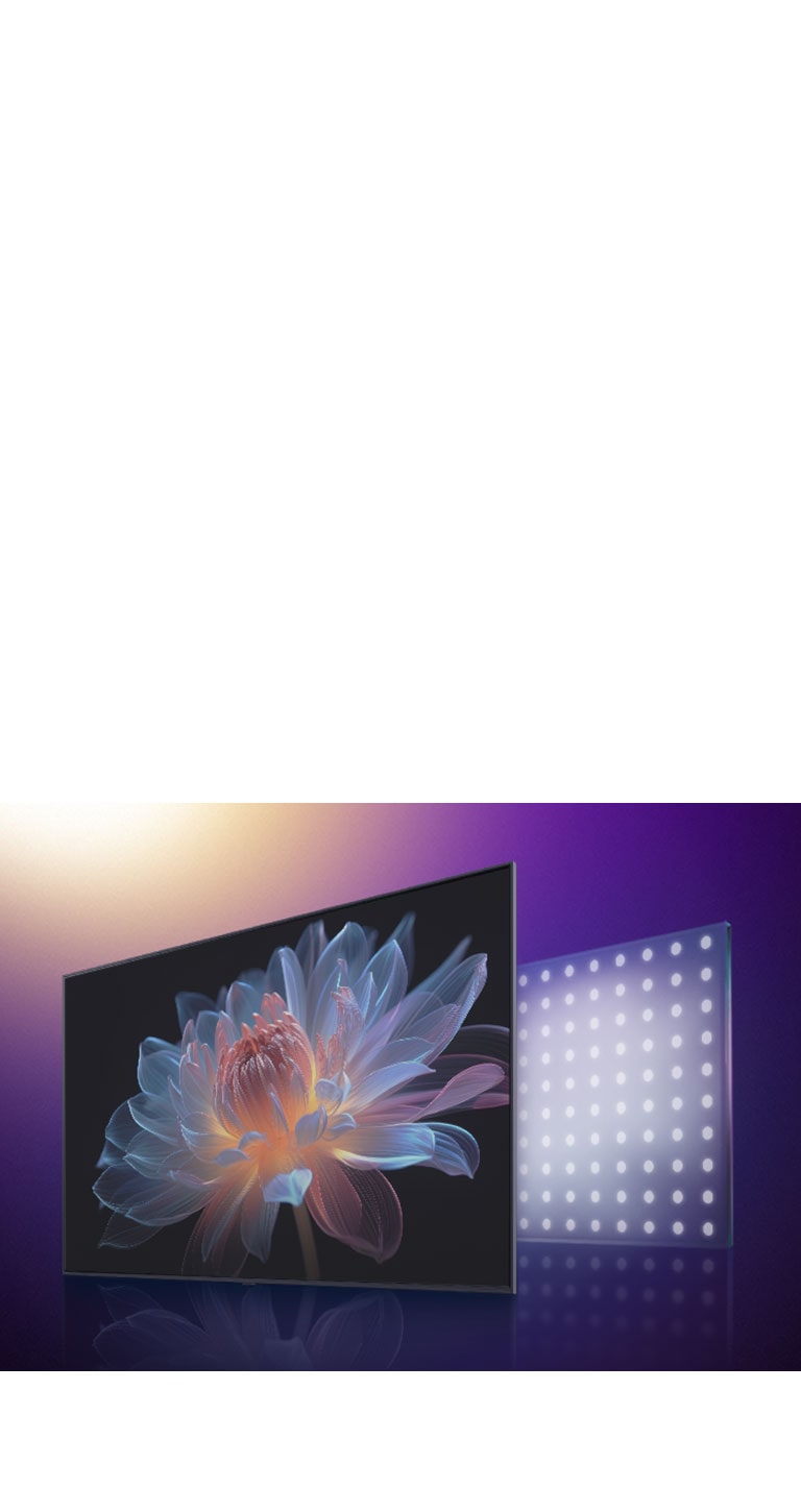 TV screen with a holographic flower on the screen. Behind it is a visual representation of LED lights. It transitions from large LED lights to smaller ones and the holographic flower image is suddenly enhanced, showing how LG QNED evo is able to control light with more precision resulting in a more vivid, high-contrast picture. 