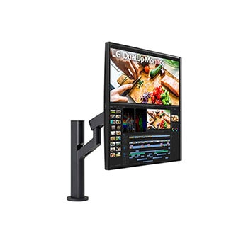 LG DualUp Monitor Ergo 付属アーム付き 350-1.jpg