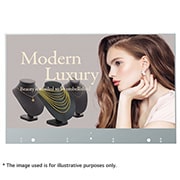 LG Transparent OLED Signage, 55EW5F-A, thumbnail 2