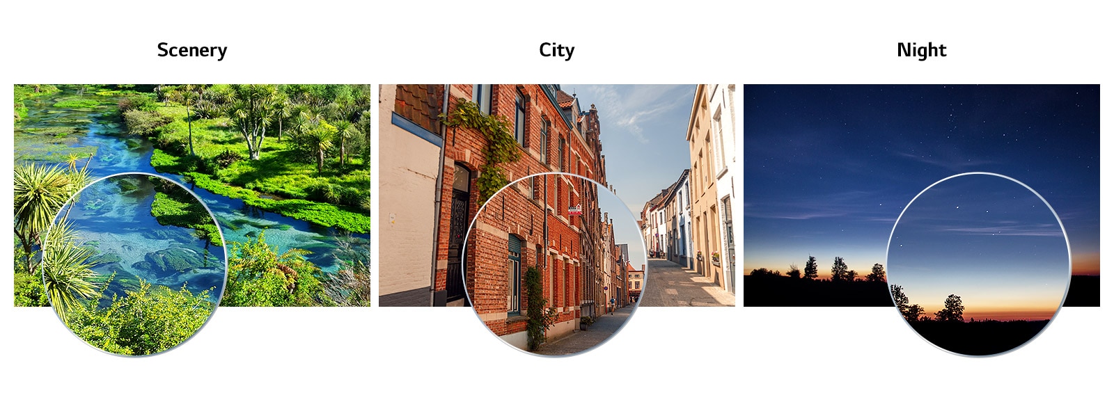 Comparison of picture quality by scene types which are scenery, city, night and other.
