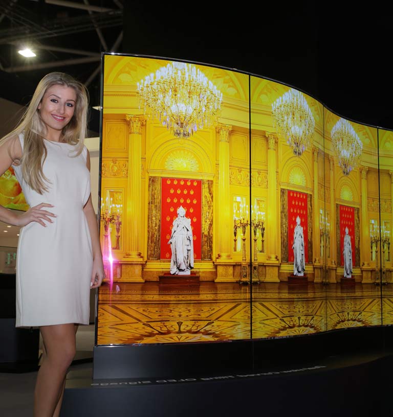 65-inch Dual-View Curved Tiling OLED Display (65EJ5C)