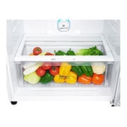 LG Top freezer Refrigerator 547L Gross Capacity, Inverter Linear Compressor, DoorCooling+™, White Color, GNM-732HWL, GNM-732HWL, thumbnail 5