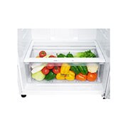 LG Top freezer Refrigerator 516L Gross Capacity, Inverter Linear Compressor, DoorCooling+™, White Color, GNM-642WL, GNM-642WL, thumbnail 5