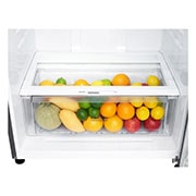 LG Top freezer Refrigerator 516L Gross Capacity, Smart Inverter Compressor, DoorCooling+™, Silver Color, GNM-705HLI, GNM-705HLI, thumbnail 9