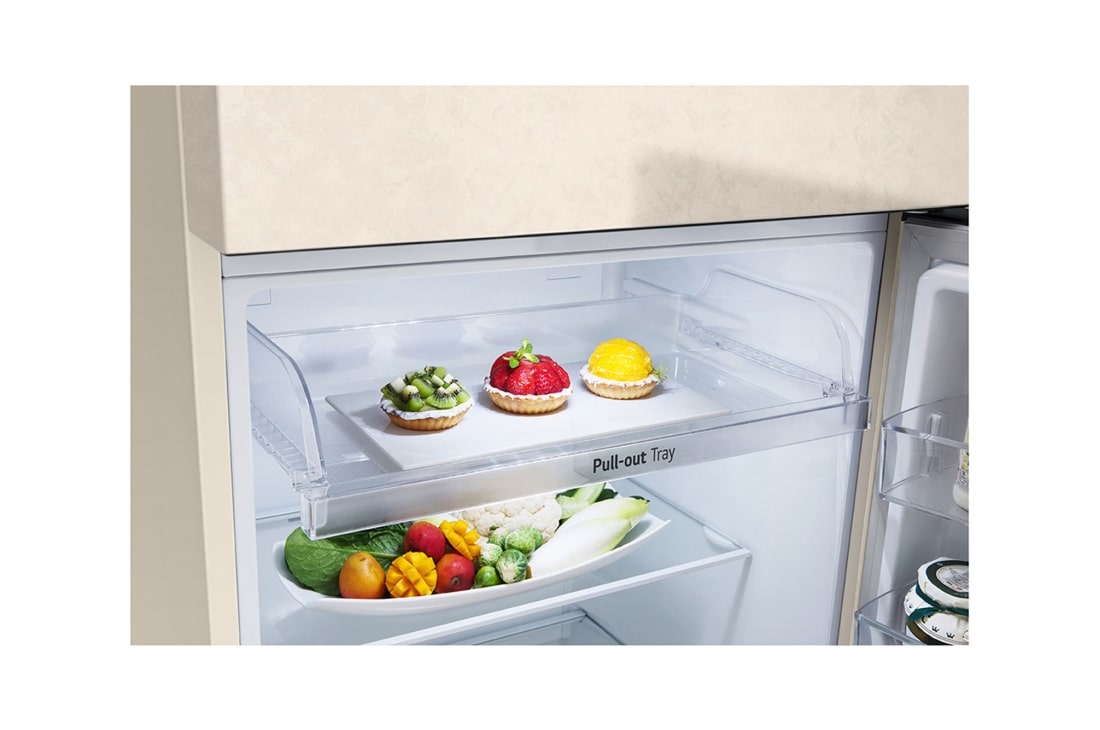 LG Top freezer Ref 423L Gross Capacity, Smart Inverter™,Beige, detail view of pull-out tray, GNB-582GVZP, thumbnail 8