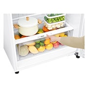 LG Top Freezer Refregirator , 506L White Color,Door Cooling+™, Smart Inverter, Bottom detail, GNM-732HWI, thumbnail 5