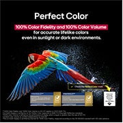 LG 77 inch LG OLED evo AI C5 4K 144Hz Smart TV AI Magic remote webOS25 2025 , Colorful parrot in ultra-high definition against a black background. Water drops are suspended in the air all around it. The image showcases Perfect Color as each different hue on the parrot's body is, OLED77C56LA, thumbnail 8