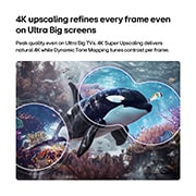 LG 85&nbsp;inch LG QNED AI Mini LED QNED70 4K Smart TV 2026, LG QNED AI QNED70 Mini LED with 4K Super Upscaling and Dynamic Tone Mapping shows an underwater scene of an orca swimming, as AI recognizes and upscales every frame to 4K resolution., 85QNED70B6T, thumbnail 7