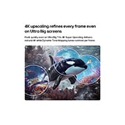 LG 75&nbsp;inch LG QNED AI Mini LED QNED70 4K Smart TV 2026, LG QNED AI QNED70 Mini LED with 4K Super Upscaling and Dynamic Tone Mapping shows an underwater scene of an orca swimming, as AI recognizes and upscales every frame to 4K resolution., 75QNED70B6T, thumbnail 7