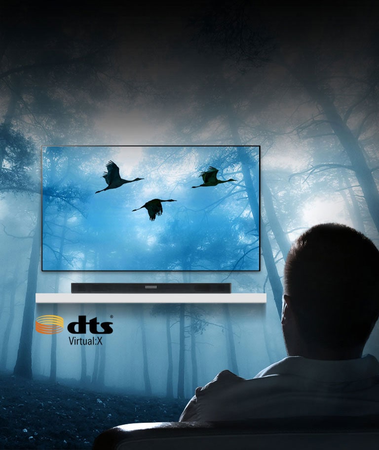 Promises a Full, Three-dimensional Surround Sound2