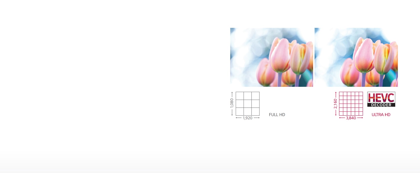 Perfect Picture Quality and Color<br>1