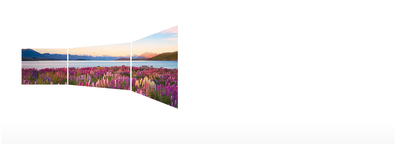 Perfect Viewing Screen<br>1