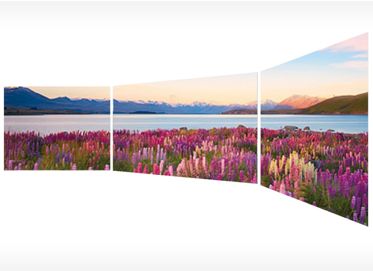 Perfect Viewing Screen<br>2