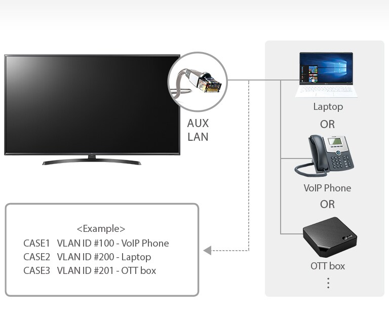 LAN out with VLAN (Virtual LAN) ID<br>2