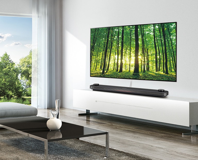 OLED Wallpaper Hotel TV<br>2