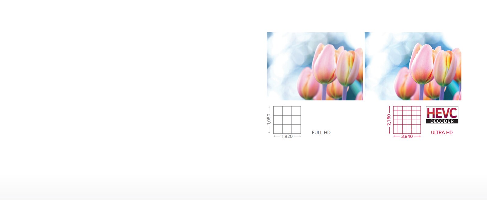 Perfect Picture Quality and Color<br>1