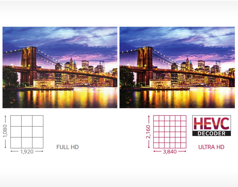 Vivid Color Details with Ultra HD<br>2