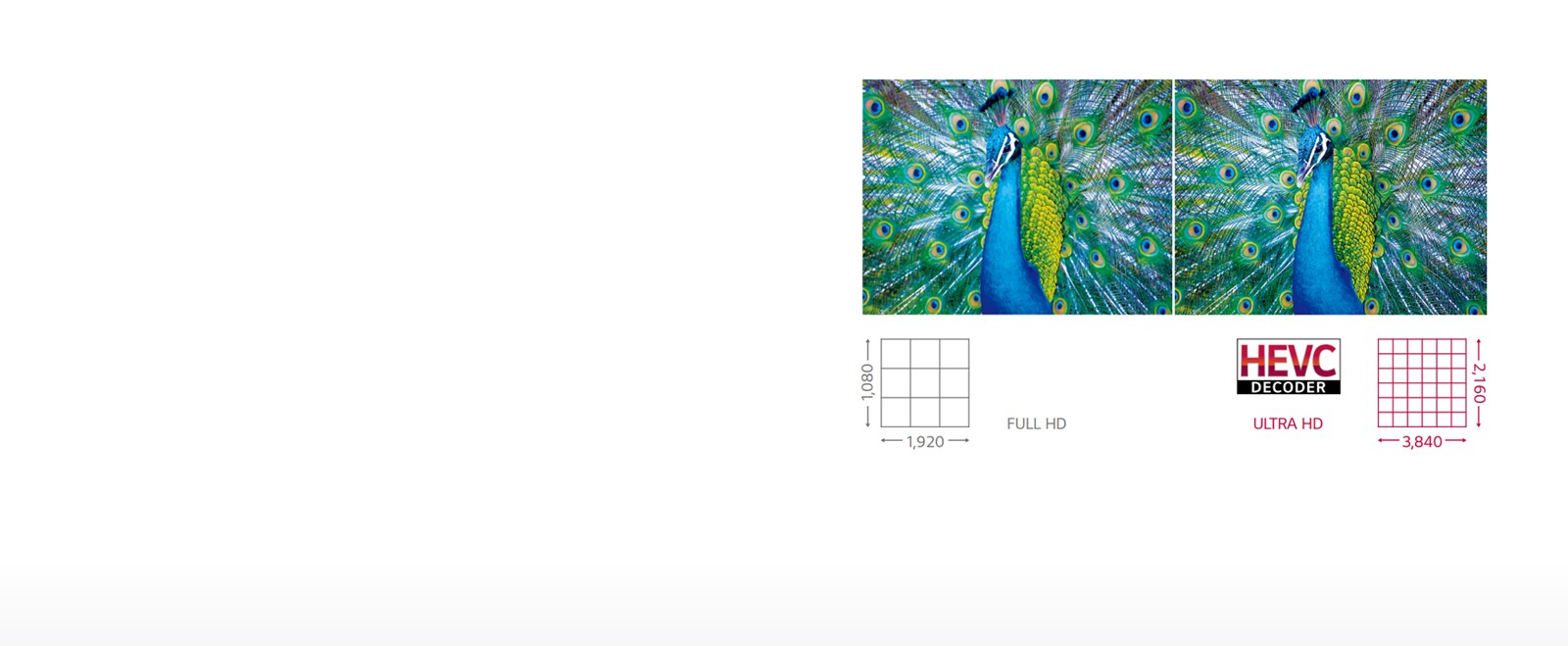 Various size with Ultra HD<br>1