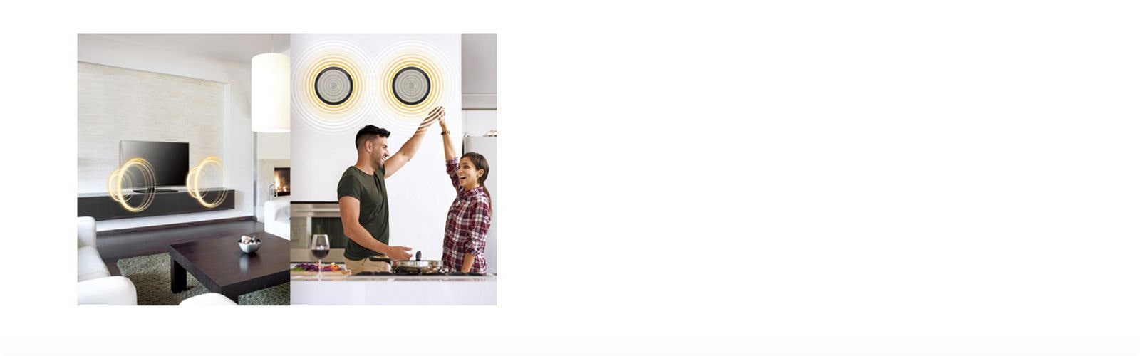 External Speaker Out<br>1