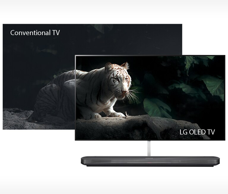 Perfect Black. Intense Color<br>2