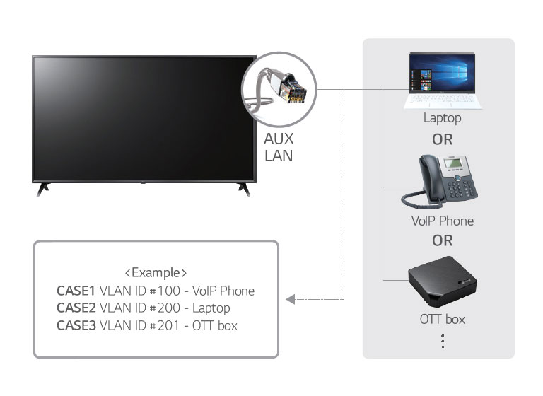 LAN out with VLAN (Virtual LAN) ID<br>2