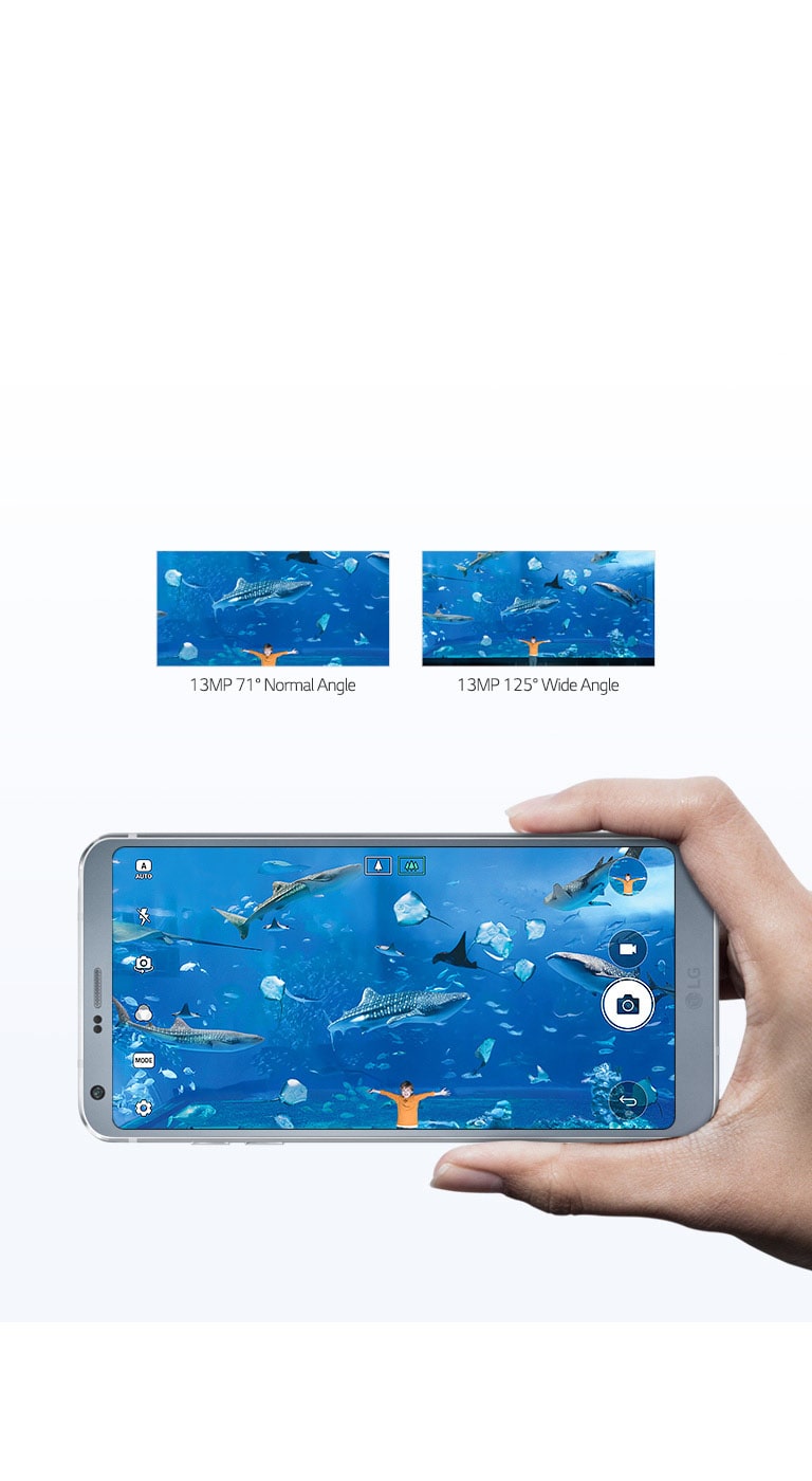 Capture the Big Picture2