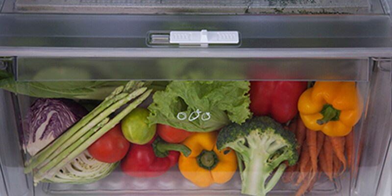 GL-M292RPLN-Top-Freezer-Refrigerators_Ever_FreshZone-D