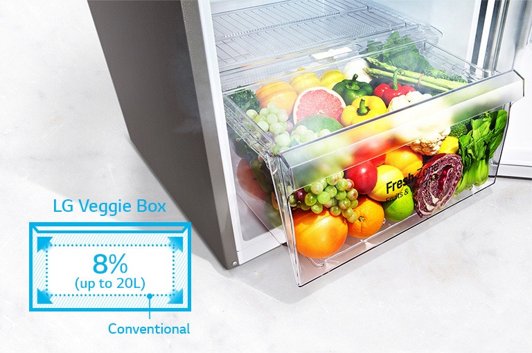 Lg 310l Silver Top Freezer Refrigerators Lg Electronics Sri Lanka