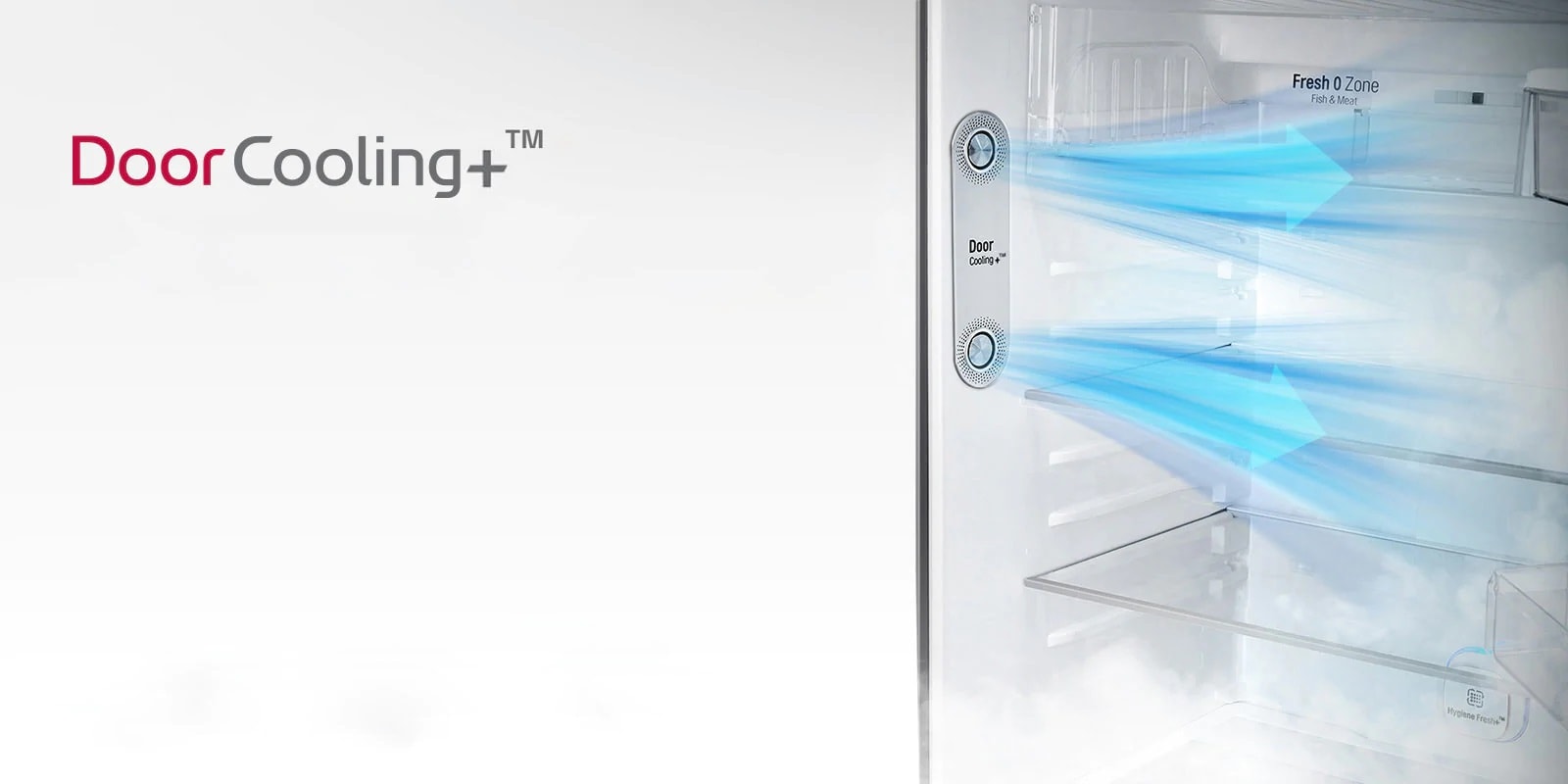 GL-M312RLML-Refrigerator-DoorCooling-D