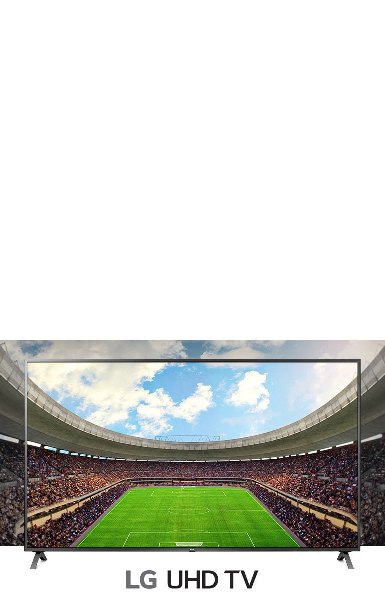 A panoramic view of the soccer stadium filled with spectators  shown inside a TV frame.