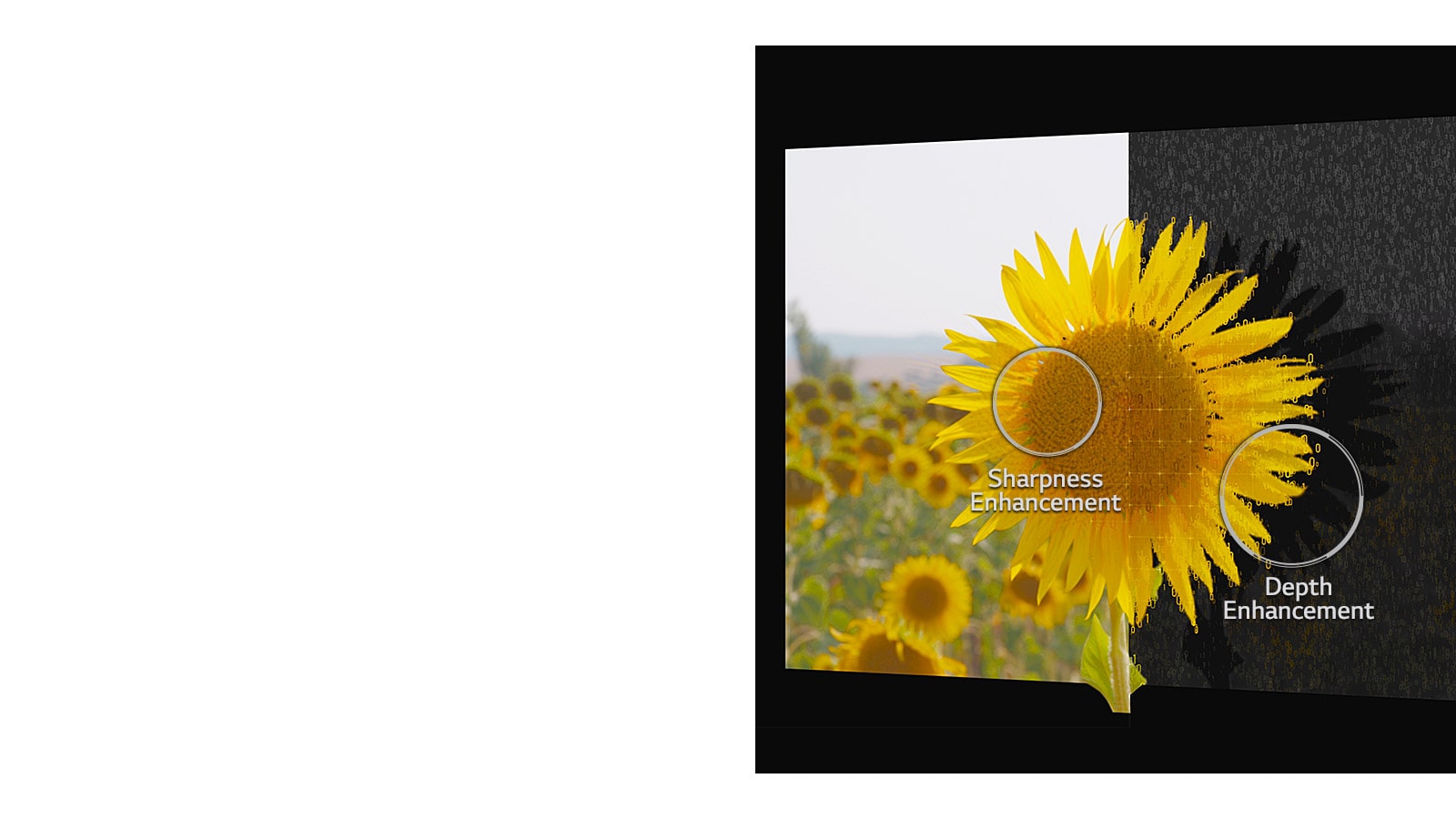 05_Alpha9_Depth_Enhancer_desktop