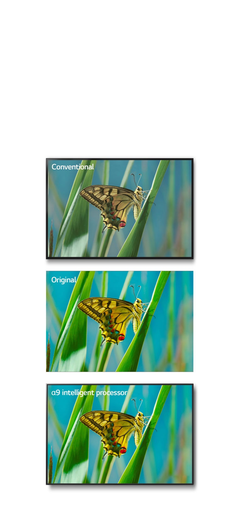06_Alpha9_Color_Accuracy_mobile