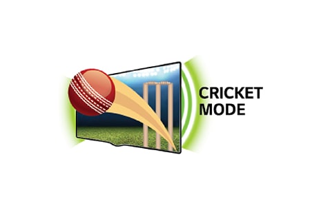 Cricket Mode