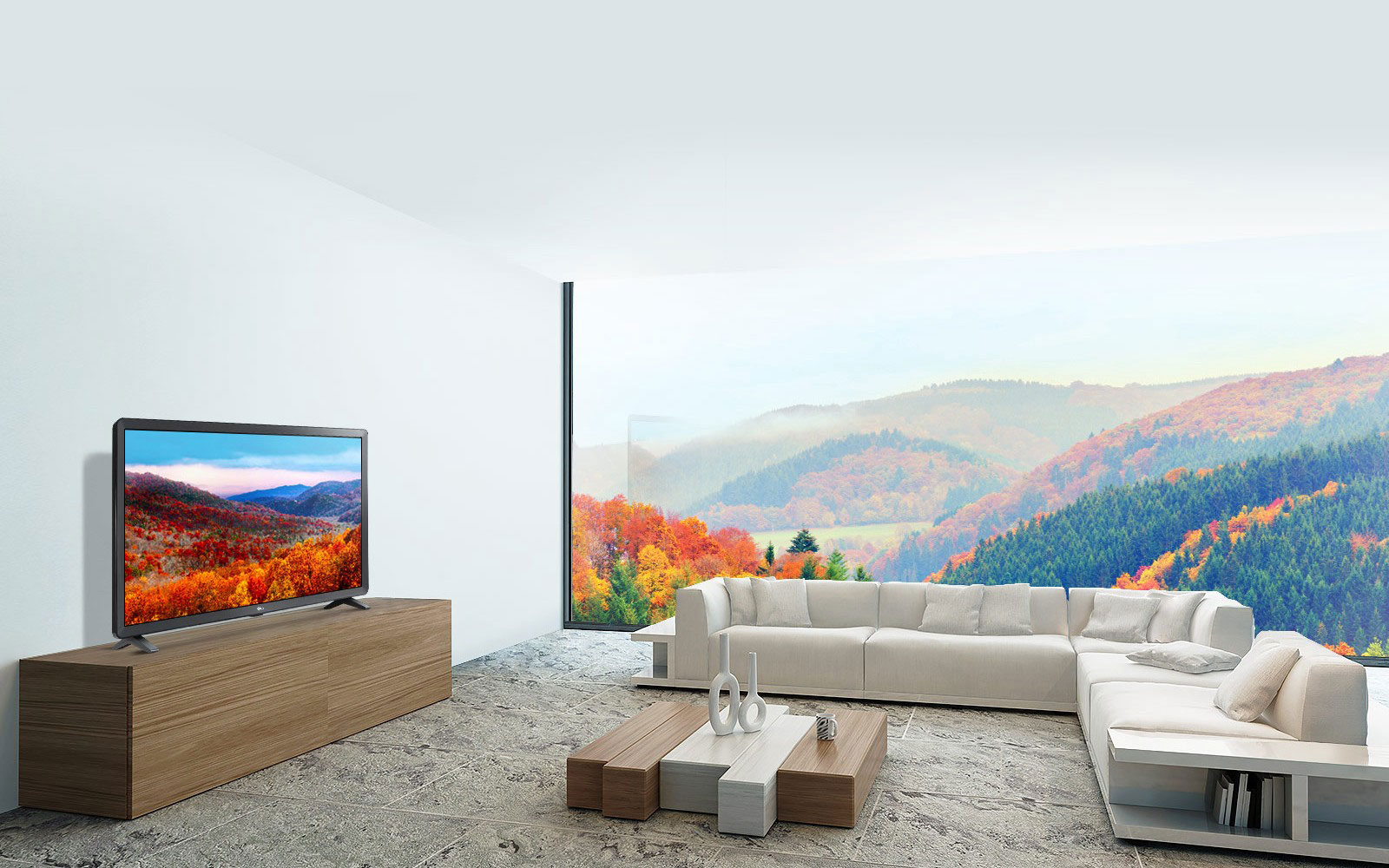 LG Smart HD TV<br>1