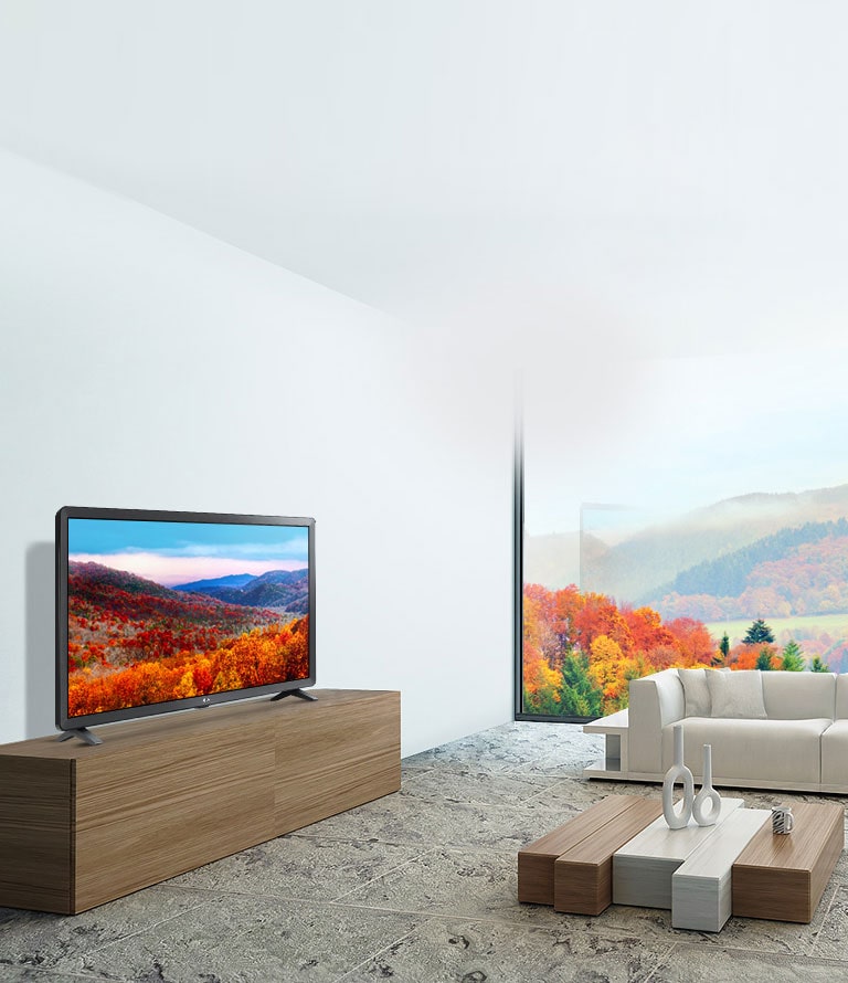 LG Smart HD TV<br>2