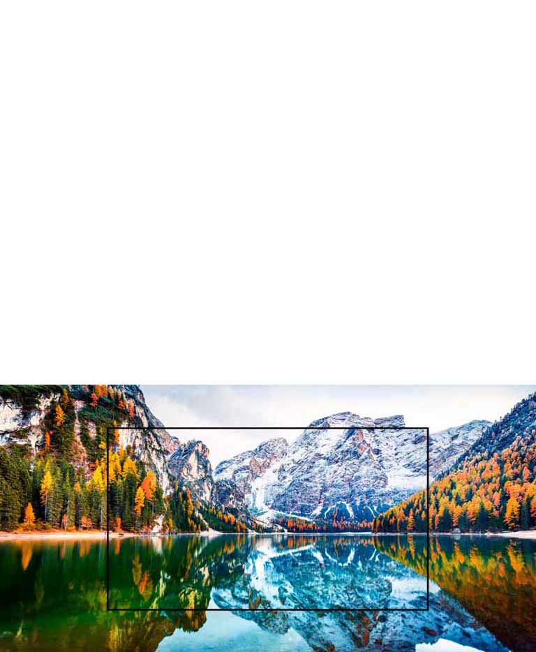 A TV screen showing brightly colored particles swirling around (play the video).