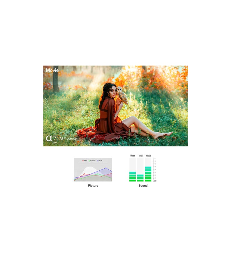 A scene of a lady holding an owl and sitting in the forest with a text of movie on the upper left and an a7 Gen4 AI Processor logo on the bottom left. A scene of a castle and the moon in the background with a text of animation on the upper left and an a7 Gen4 AI Processor logo on the bottom left. (play the video)