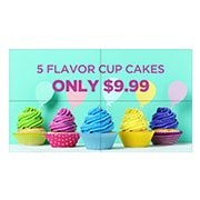 LG VL5D Series, 49VL5D, thumbnail 1