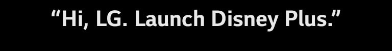 Hi, LG. Launch Disney Plus