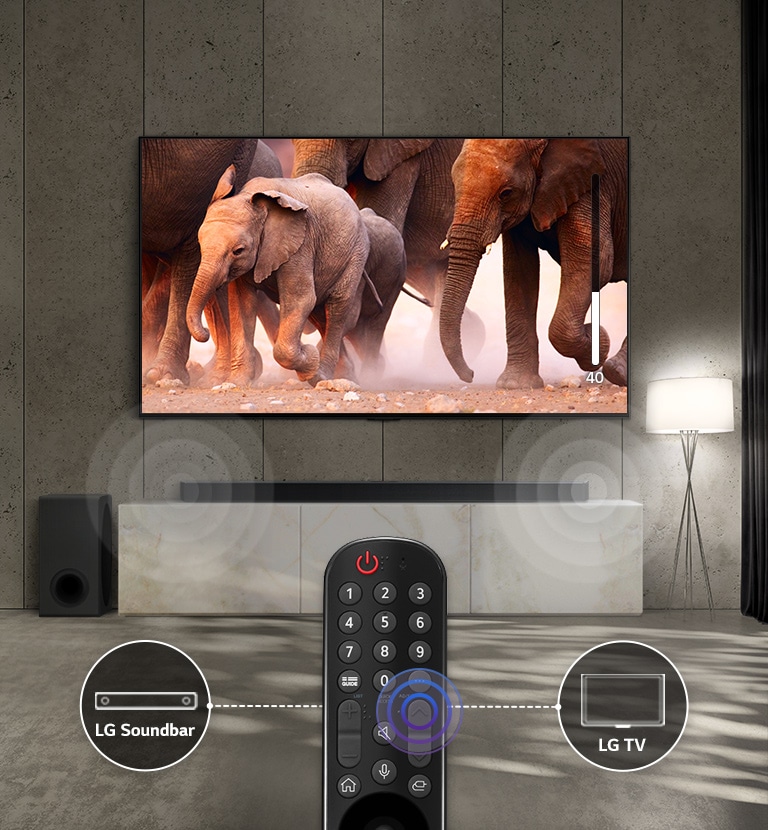 TV in a room with subtle lights shows images of elephants passing by. And there is a sound effect on the sound bar under the TV. At the bottom of the image, there is a TV remote control, and the sound bar and the icon of the TV are connected to the left and right of the remote control.