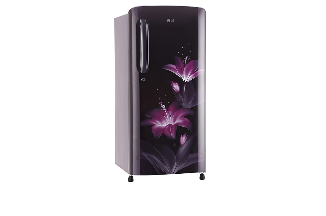 LG 190L Purple Glow One Door Refrigerator LG Sri Lanka
