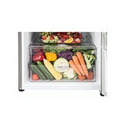 LG 260L Platinum Silver Top Freezer Top Mount Refrigerator, Refrigerators-Detailed-View, GL-K272SLBB, thumbnail 4